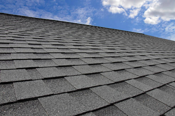 Best Roof Moss and Algae Removal  in Dwight, IL